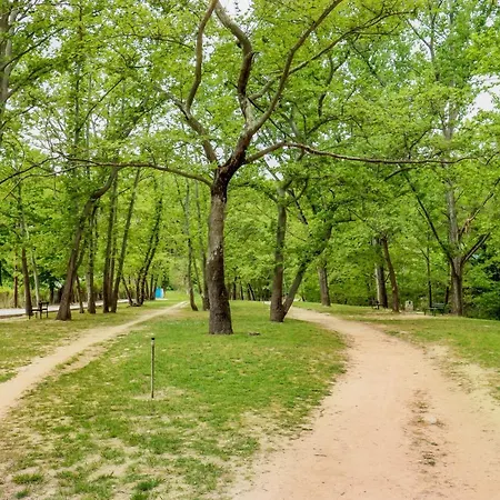 Acropolis With Parking Next To Center *